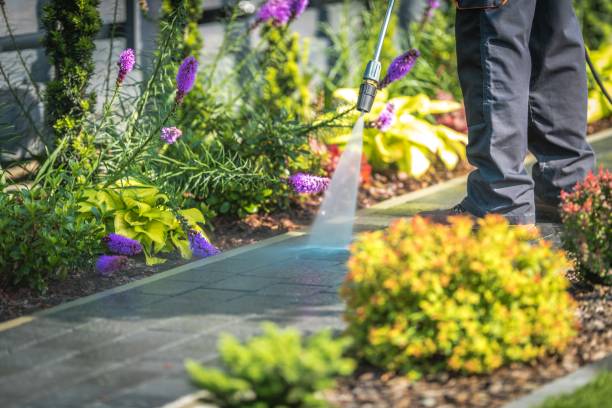 Best Pool Deck Cleaning  in Erie, IL