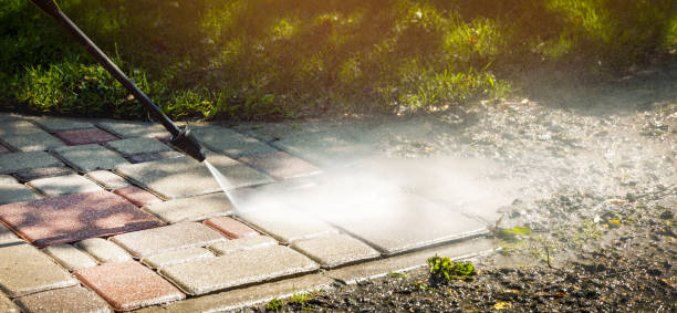 Best Fence Cleaning  in Erie, IL