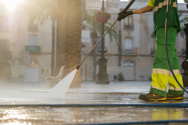 Best Soft Washing  in Erie, IL